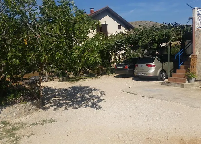 Daire Bacelic Baselovici